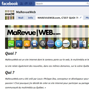 exemple-fbml-marevueweb