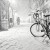 paysage d'hiver