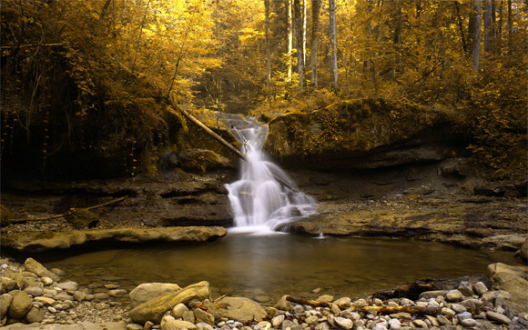 Autumn