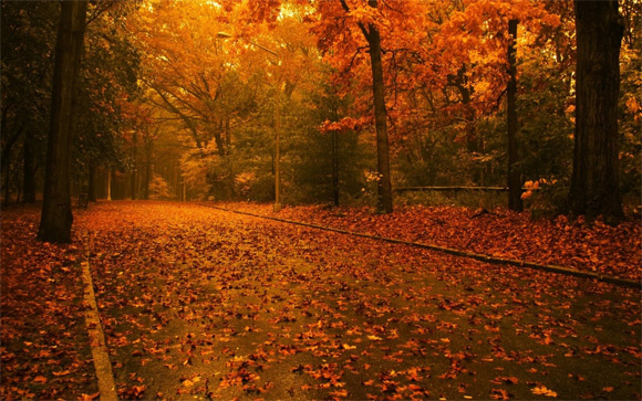 Automne pluvieux