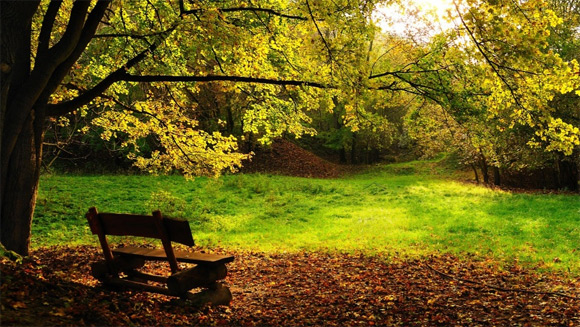 Banc d'automne