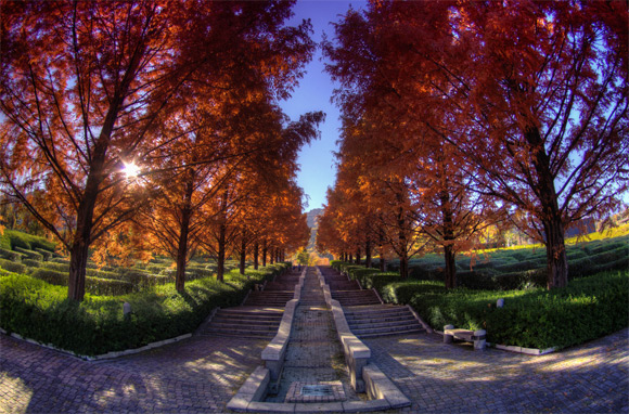 L'automne au Japon