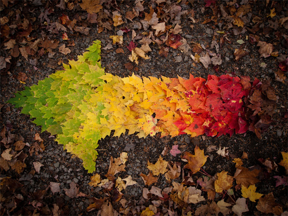 Spectre d'automne