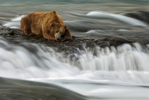 Inspiration Photographie 500 px 3