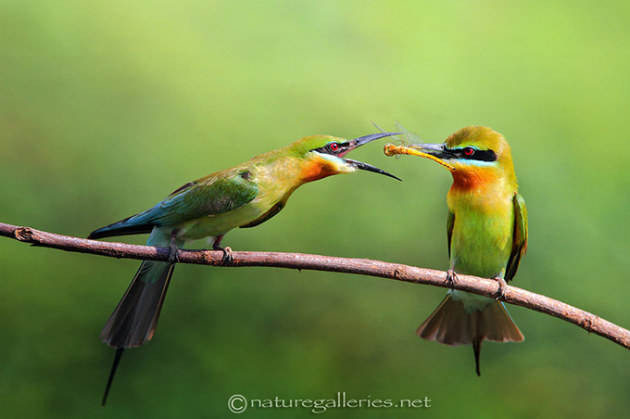 Inspiration Photographie 500 px 30