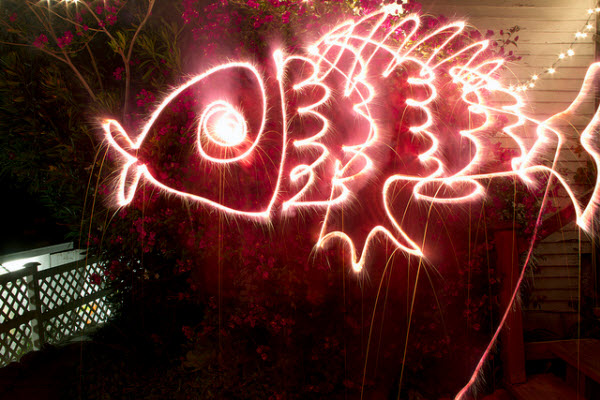 fire fish collection d'images de light painting