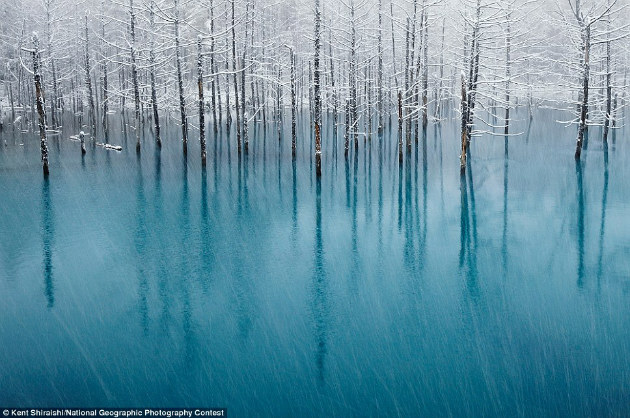 Concours Photo NG 1