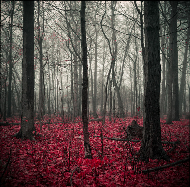 Concours Photo NG 2