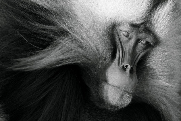 Concours Photo NG 7