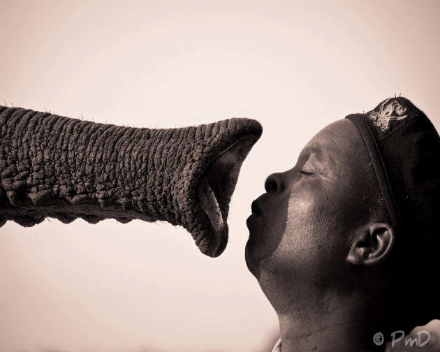 Concours Photo NG 19