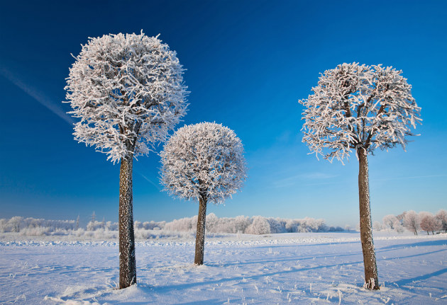 Concours Photo NG 23