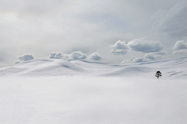 Concours Photo NG 28
