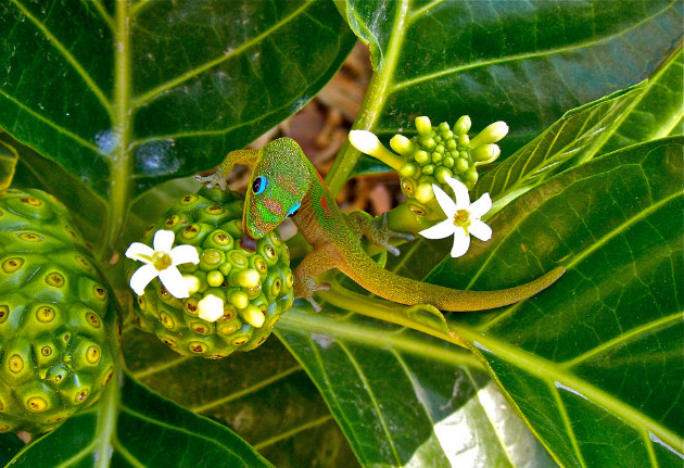 Concours Photo NG 30