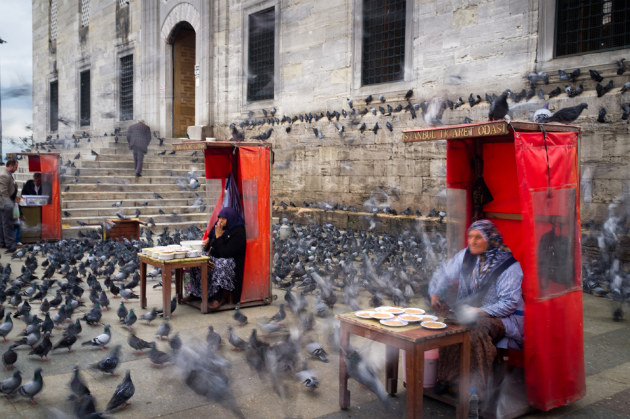 Concours Photo NG 31