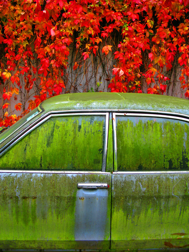 Concours Photo NG 33