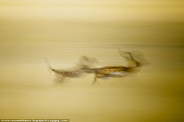 Concours Photo NG 34