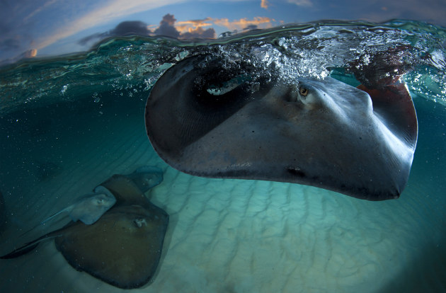 Concours Photo NG 38