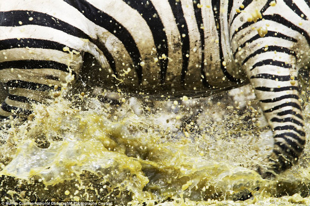 Concours Photo NG 41