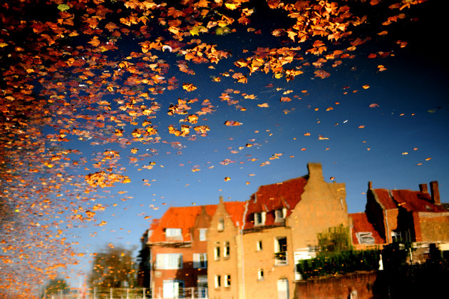 Concours Photo NG 46