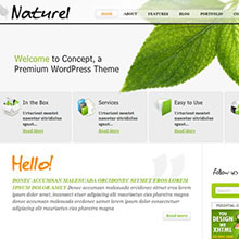 theme premium