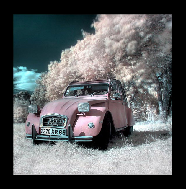 Voiture Rose