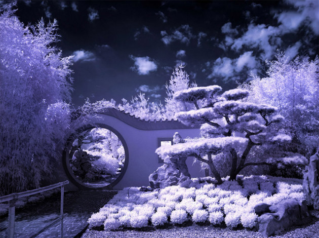 photographie infrarouges 7