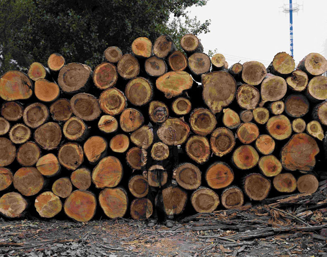 liu-bolin-art-hi-res-hide-in-the-city-china-camouflage-painting-11