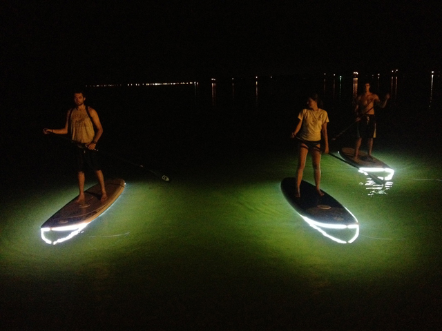LED1