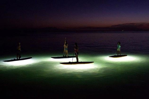nocqua-standup-paddle-lights