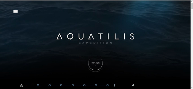 aquatilis