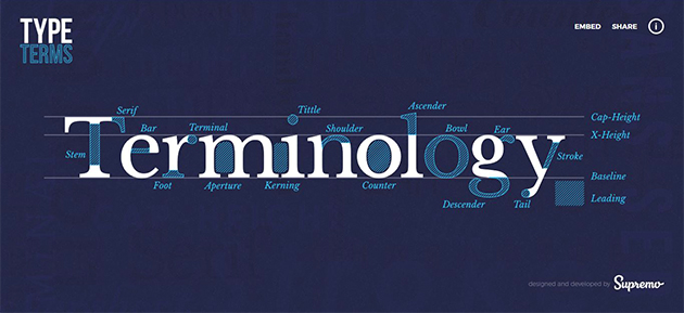 terminology