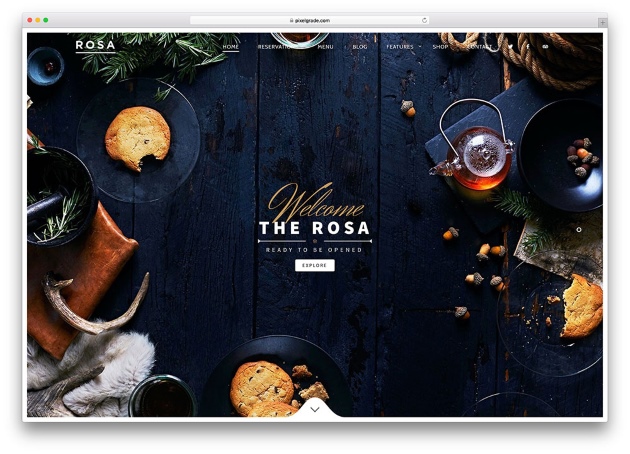 rosa-creative
